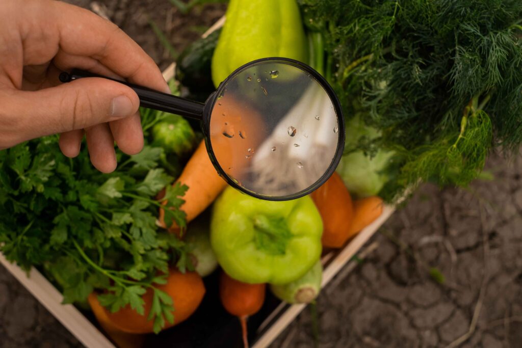 Keterjaminan Makanan